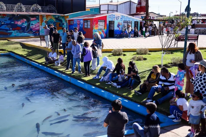 Niños y adultos se asoman al estanque del centro piscícola, lleno de truchas, junto a una barda pintada de colores