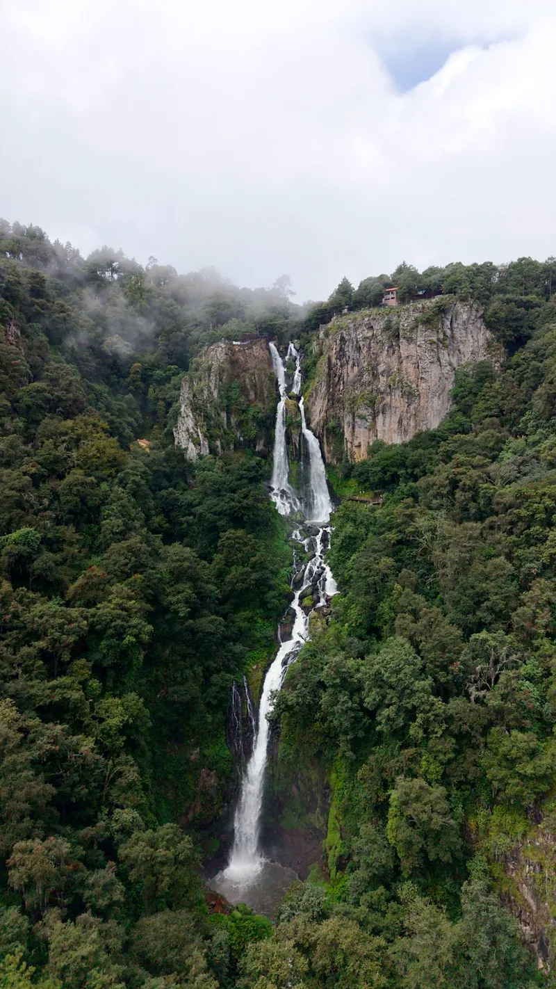 Vista aérea de las Cascadas de Quetzalapan: toda la caída, desde lo alto del risco entre la neblina hasta la poza, rodeada de bosque.