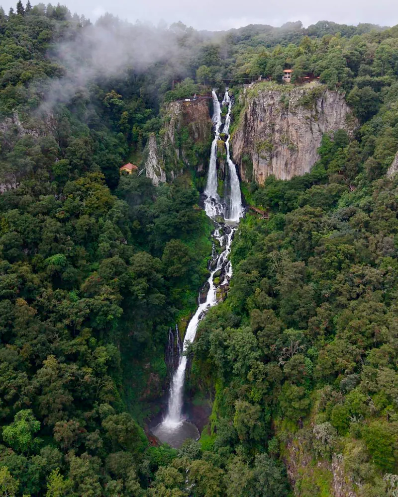 La cascada de Quetzalapan completa, de frente y desde el aire: sus dos brazos caen de lo alto del risco entre la niebla y el agua baja por el bosque hasta la poza.