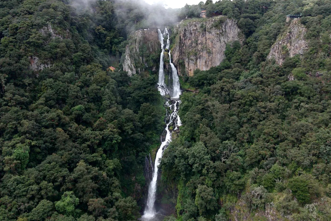 La Cascada de Quetzalapan al centro, vista desde el aire: toda la caída baja desde lo alto de la pared de roca hasta la poza, entre el bosque del cañón