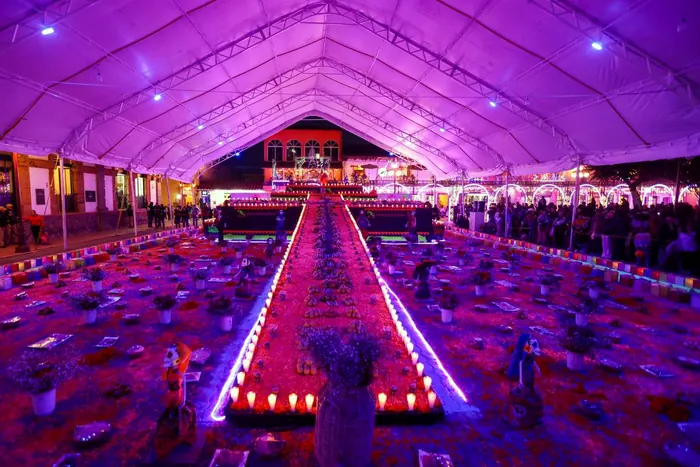 La Ofrenda de las Mil Luces de noche bajo la carpa iluminada de morado: un pasillo central bordeado de veladoras encendidas entre ofrendas y catrinas