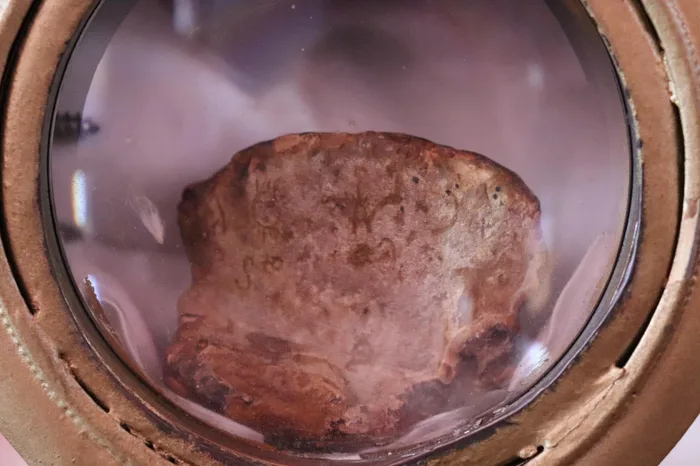 The petrified mushroom of the Santuario del Honguito (Little Mushroom Shrine), in its display case